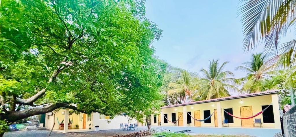 Hostal Camila'S Tamanique Exterior photo